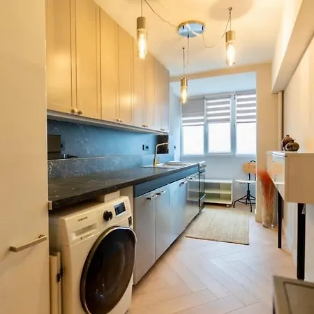 Apartment Floreasca Park
